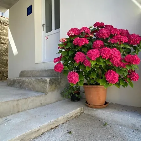 Апартаменты Center